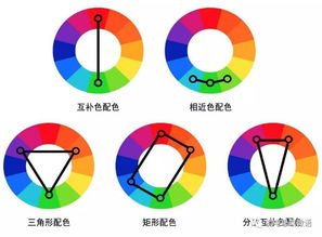 责 互补色就是两种相反的颜色 图片欣赏中心 急不急图文 Jpjww Com