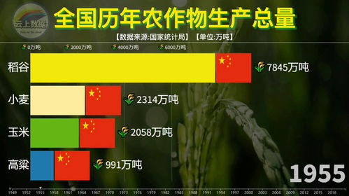 计算机查重对比实战：如何提高查重效率？