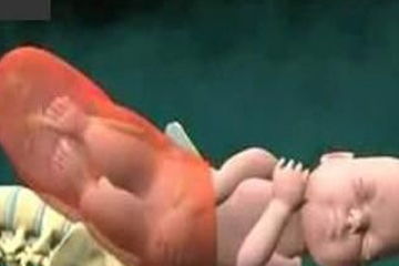 原创胎儿那么大，是如何从那么小的产道出来的？看完后更心疼女人