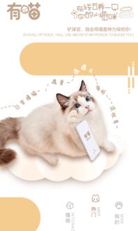 有喵云养猫软件下载 有喵云养猫appv1.0.0 安卓版 腾牛安卓网 