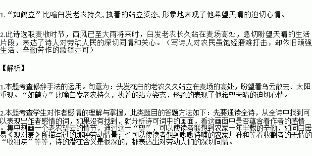 语文将进酒解释词语—将进酒中表达诗人情绪的词语有哪些？