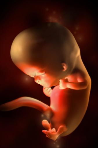 原创这个月份胎儿智力发育最快，孕妈做好这3件事，宝宝会更聪明！