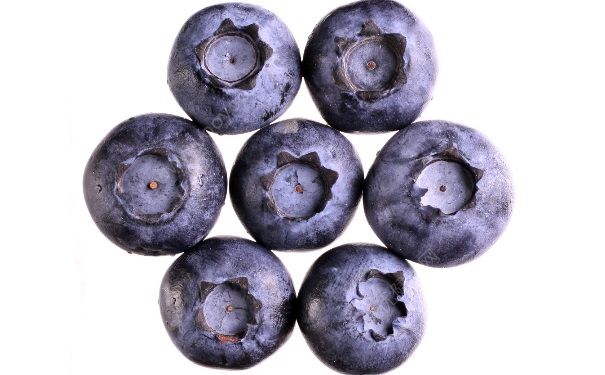蓝莓能放多久 蓝莓怎么保存