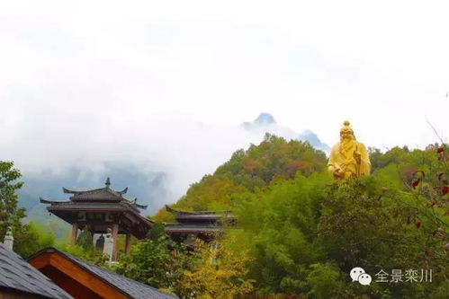 河南平均海拔最高的县,2018年第二次降雪