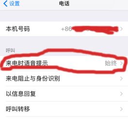 苹果手机怎么设置接电话念名字 