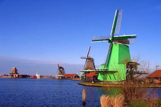 荷兰攻略 荷兰旅游5天要多少钱