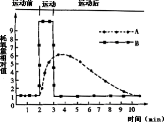 一、几种体育运动每小时的耗氧量大致如下。 （1）散步时每小时的耗氧量比游泳少( )﹪，比打篮球少(