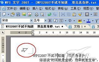 不试不知道WPS 2007双击更高效 