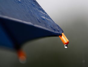 在雨中