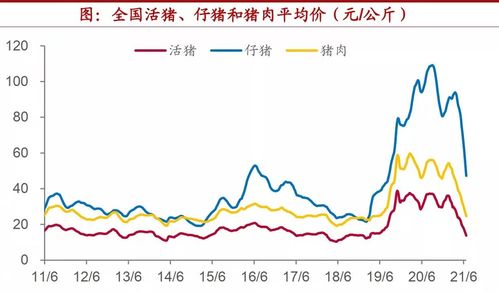 请问证券包括了哪些？是不是只有股票和国债？还有没有别的？