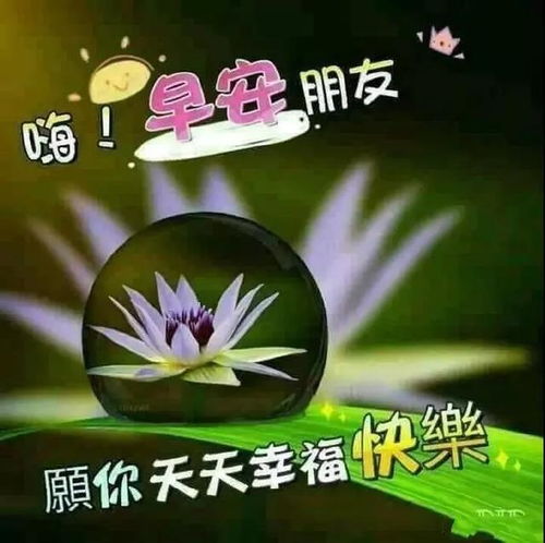 早上好问候语图片 早安祝福语漂亮图片