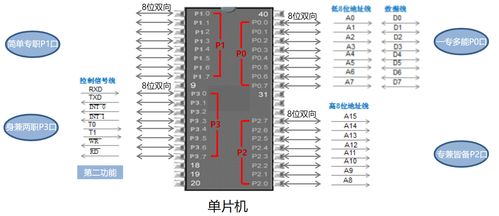 ramrom(简述ram与rom各有什么作用及其区别)