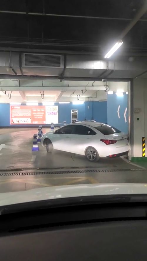 当新手开新车,撞成这样司机都没脸下来看看 