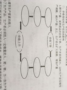 商品价格下降应该说是生产者获利减少缩小生产规模的，但是商品价格下降后需求量增大，这样生产者应该获利