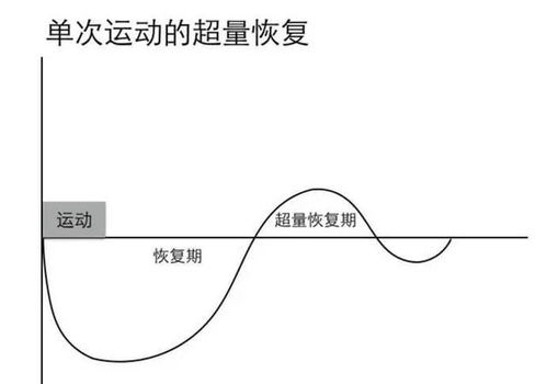 你可能根本不了解什么是 训练到位