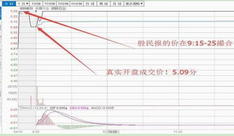 有谁使用隔夜委托抢到一字板新股的散户