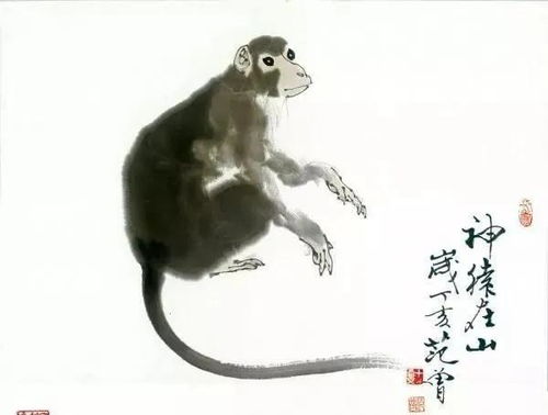 范曾画了一只灵猴,卖600万,却不如他的呆猴,估值2000万 猴子 