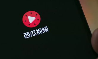 西瓜视频错过直播可以回放吗？