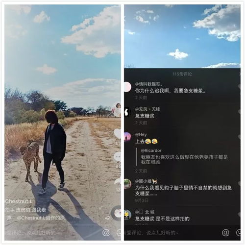 顶级超燃励志音乐下载,励志歌曲英文最火前十名抖音？