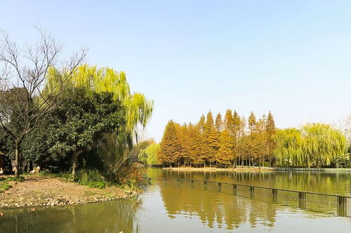 扬州旅游必去十大景点(扬州市旅游景点排行榜前十名)