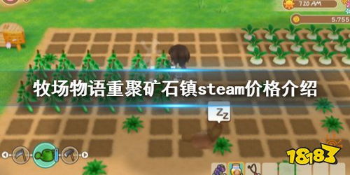 牧场物语再会矿石镇 steam多少钱 steam价格介绍