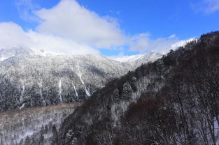 被称作日本的阿尔卑斯,除了雪山美景,你还应该知道更多 