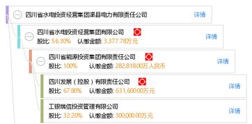 四川省水电投资经营集团有限公司的成员单位