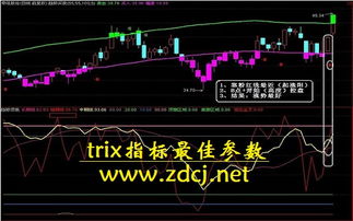 什么是TRIX指标 TRIX指标如何分析