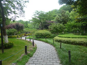 秋枫旅游系列之三十四 南京八字山公园