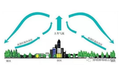 热岛效应和冷岛效应 附考点设计