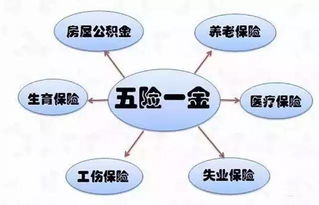 国外有没有类似五险一金的政策？国外的保险行业和国内的有什么异同？