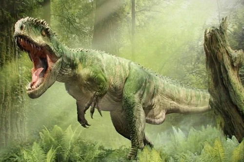 恐龙如何演化成鸟类的 化石揭开了恐龙演化到鸟类的过程