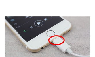 苹果7耳机孔在什么位置 