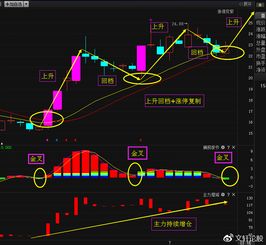 主力连续增仓说明什么