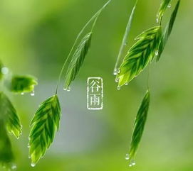 谷雨酒聚 4月15日,名庄西拉的武林大会