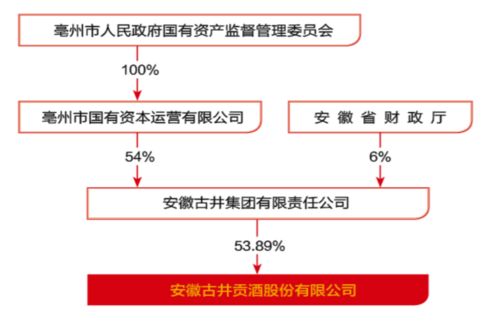 股东借公司钱，无偿还能力，公司其他股东该怎么办