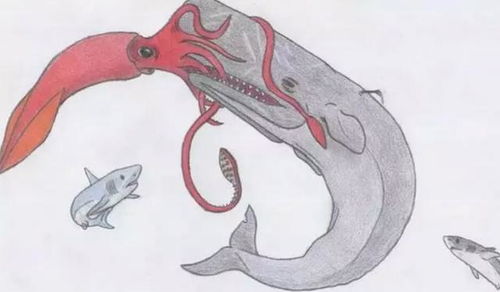 十二星座代表哪种海洋生物 摩羯是温柔巨人,天蝎是沉默猎手