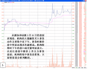 股票成交量是什么意思 股票成交量多少才算大