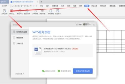 wps ppt怎么加密码(wpsppt怎么加密码保护)