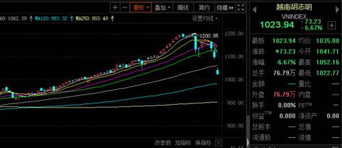 怎么评价用发行债券回购股票的利弊