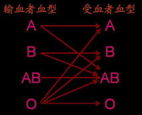 用ewb设计病房呼叫系统或者血型校验器 