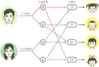 宝宝起名一定要把 宝宝健康 放在第一,其他是其