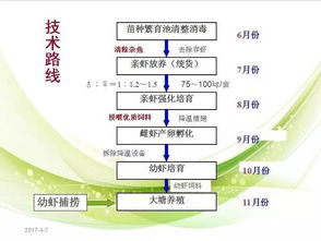 直播⑦ 江苏省淡水水产研究所唐建清教授 小龙虾在我国的迁徙与苗种繁育 