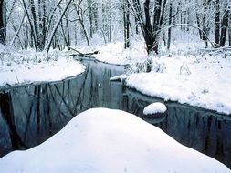 snow飘雪冬季