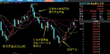 纸黄金能做空吗如能是否有强行平仓的措施(纸黄金可以投资吗)