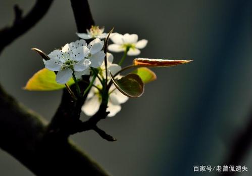 姻缘上上签有哪些签文 姻缘签下下签能一起吗