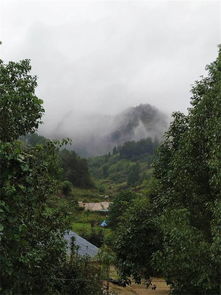 荒山野岭大变样,改个途达电动尾门过新年