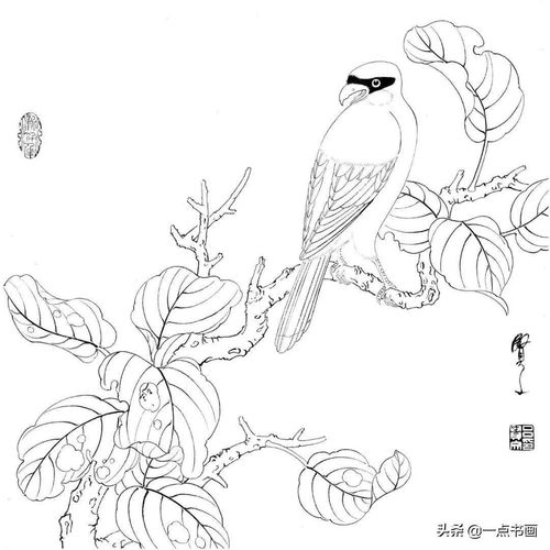 高清工笔花鸟白描图谱分享