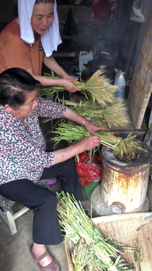 这个时候小麦的果实已经饱满了,我们这里又可以吃烤麦子了 