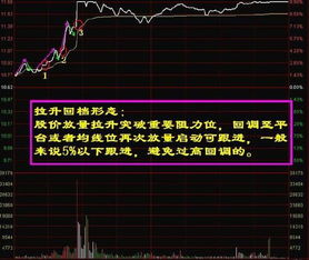 我一股300块,天天涨停一年能赚多少钱